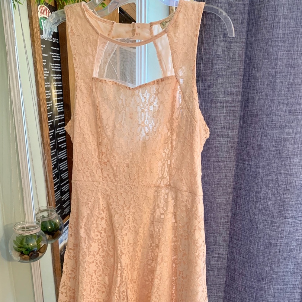 Love Fire Lace Blush Skater Dress